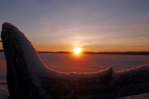 seinäjoki 25 12 2014 (2)