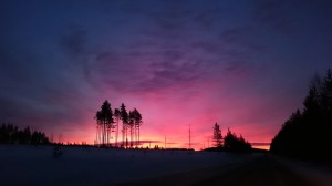 11 2 2015 Sony xperia Z3 www