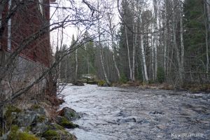 Hernesalmen myllyn koski