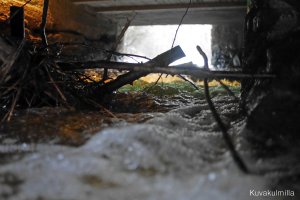 Hernesalmen myllyn koski