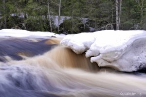 Palsankoski 9.4.2015