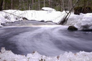 Palsankoski 9.4.2015