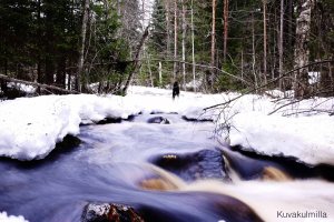 Palsankoski 9.4.2015