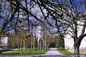 Omenapuu Törnävän sairaalan alueella