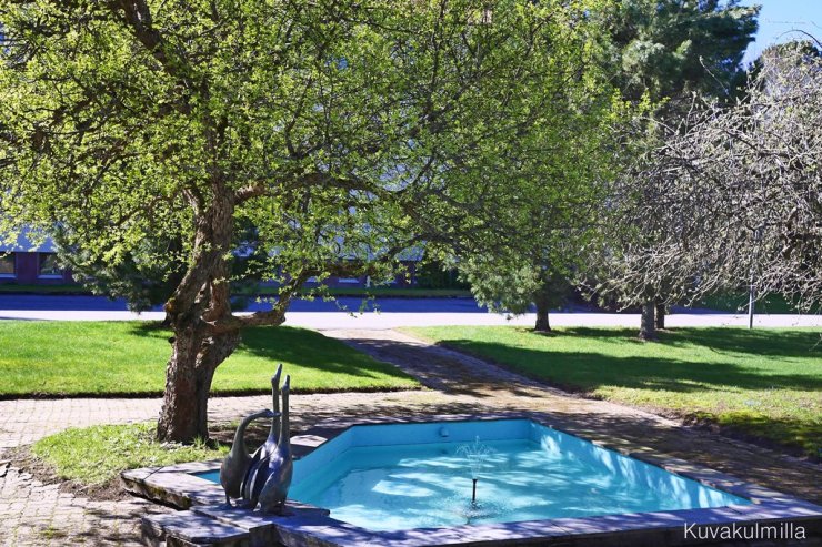 Kirsikkapuu löytyy suihkulähteen läheltä Törnävän sairaalan päärakennusta.