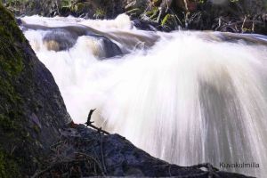 Juveninkosken vesiputous Tero Hintsa