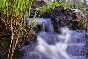 Vanha pato Seinäjoessa.