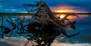 Midsummer sunset Tero Hintsa