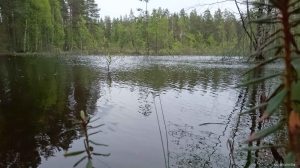 Finnish coral reef 2.6.2015, picture 1. Above the water.