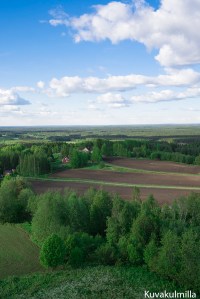 Suokonmäki Tero Hintsa