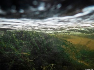 Olympus TG4 Myllykoski waterfall Tero Hintsa