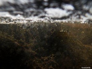 Olympus TG4 Myllykoski waterfall Tero Hintsa