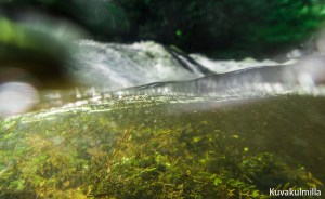 Olympus TG4 Myllykoski waterfall Tero Hintsa