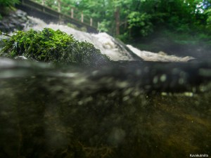 Olympus TG4 Myllykoski waterfall Tero Hintsa