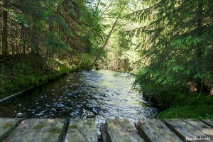 Tero Hintsa Kettuojan vesiputous Kuru