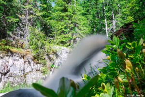 Tero Hintsa Kettuojan vesiputous Kuru