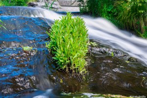 Kalmakurjenkoski waterfalls Tero Hintsa