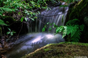 Myllykoski waterfall Tero Hintsa