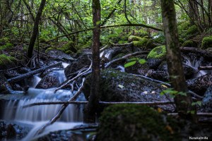 Rissla waterfalls Tero Hintsa