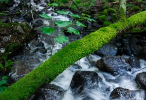Rissla waterfalls Tero Hintsa