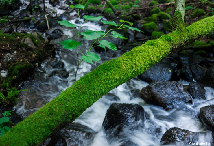 Rissla waterfalls Tero Hintsa