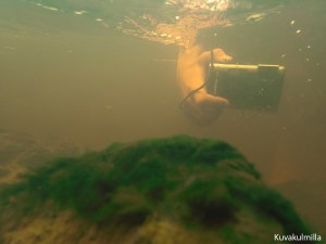 Ihodenjoessa kovassa virtauksessa ja sameassa vedessä kuvattu 4 vuotta vanha TG-610. Hyvin tarkensi näihin olosuhteisiin ja valovoima riittää päivällä matalassa vedessä.