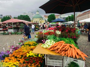 Turun tori.