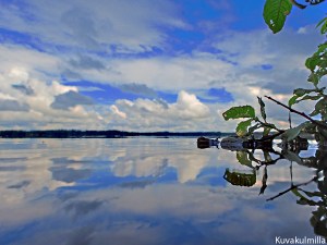 Seinäjoen Kyrkösjärveä veden pintakalvosta, kamera lähes kokonaan pinnalla.