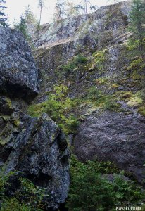 Hitonhauta Laukaa Tero Hintsa