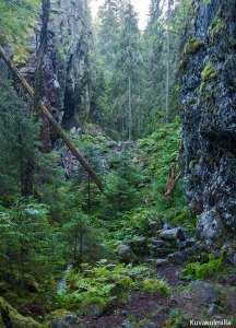 Hitonhauta Laukaa Tero Hintsa