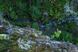 Hitonhauta Laukaa Tero Hintsa
