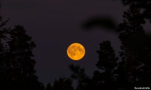 Täysi kuu Full moon tero hintsa