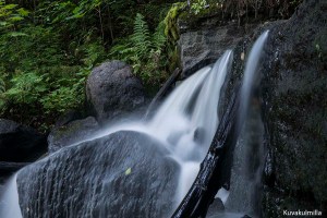 Jyväskylä Korkeakoski Tero Hintsa