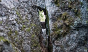 Lullinvuori Muuratsalo Tero Hintsa