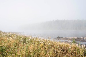 Sumun ja kirkkaan ilman rajalta kuva sumuun päin.