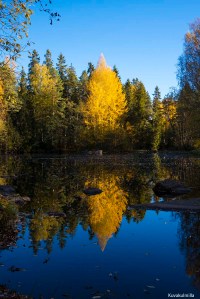 Ruska fall colours Tero Hintsa