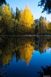 Ruska fall colours Tero Hintsa