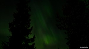 Revontulet Northern lights Tero Hintsa