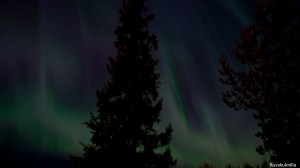 Revontulet Northern lights Tero Hintsa