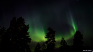 Revontulet Northern lights Tero Hintsa