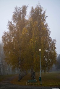 Ruskaa Seinäjoen keskustassa Tero Hintsa