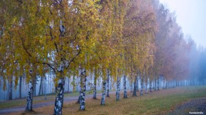 Ruskaa Seinäjoen keskustassa Tero Hintsa