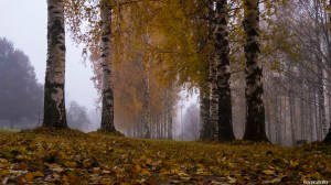 Ruskaa Seinäjoen keskustassa Tero Hintsa