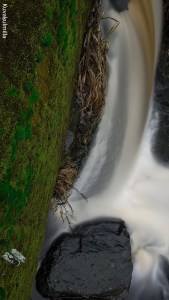 Jyllinkoski Kurikka Tero Hintsa