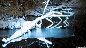Björkenheimintie silta Tero Hintsa