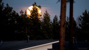 Täysikuu Tero Hintsa