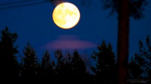 Täysikuu Tero Hintsa