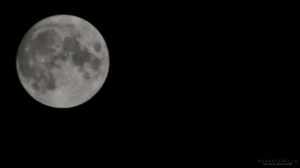 Täysikuu Tero Hintsa