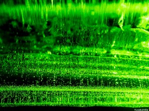 Laservalo jään läpi Tero Hintsa