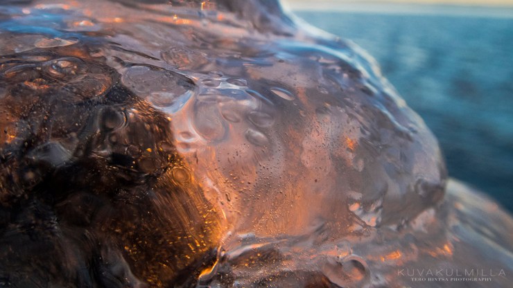 Jäätynyt auringonlasku Seinäjoki Kyrkösjärvi Tero Hintsa